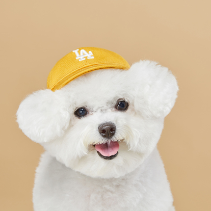 롤오버