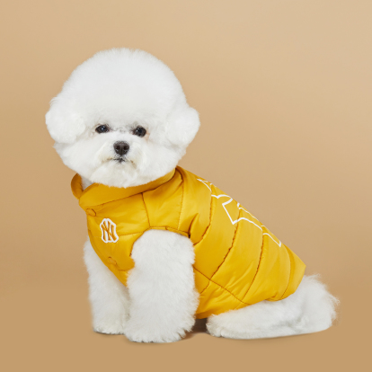 롤오버