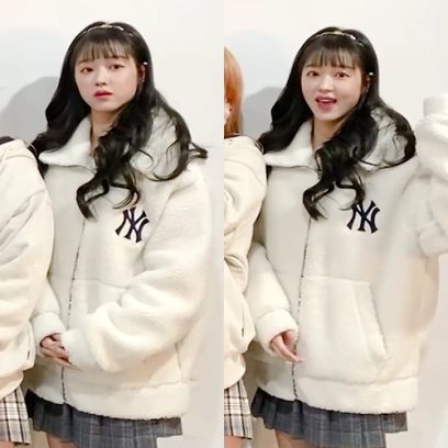 이미지사진